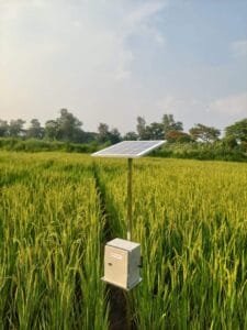 Sensors monitoring environmental conditions in a crop field.